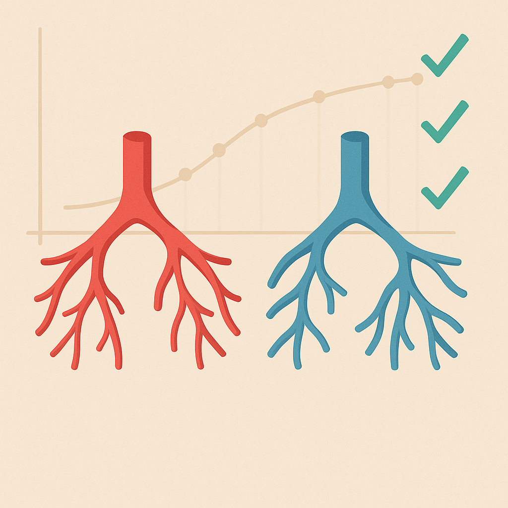 Validation of Microvascular Model